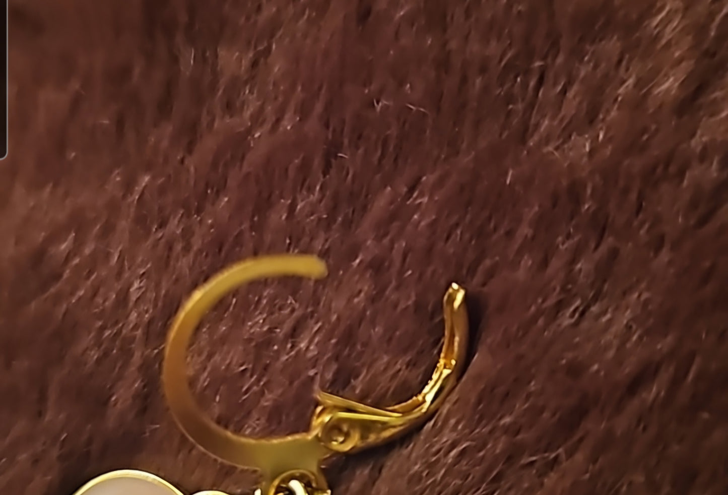 Cowgirl Energy Earrings